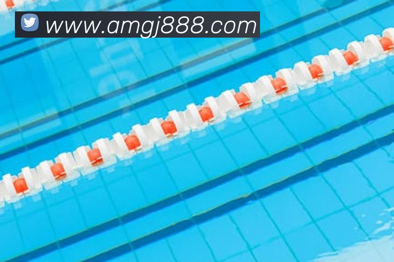 8868体育服务体系